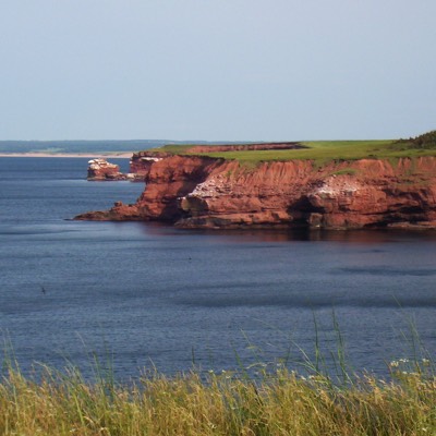 A cliff like this is at the end of Cape Tryon Road. I'm just guessing that it's a three hundred foot drop.