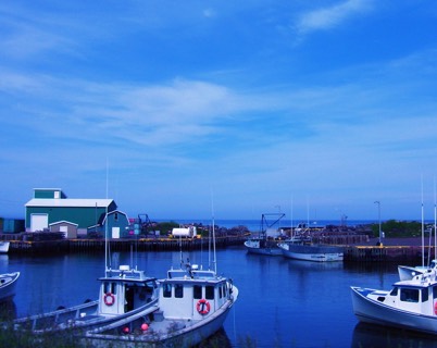 Fishing boats preparing to put out to sea.