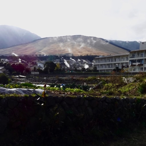 Shot of a hill in the background with steam rising from a dozen or more locations, evidence of geothermal activity beneath the surface. 