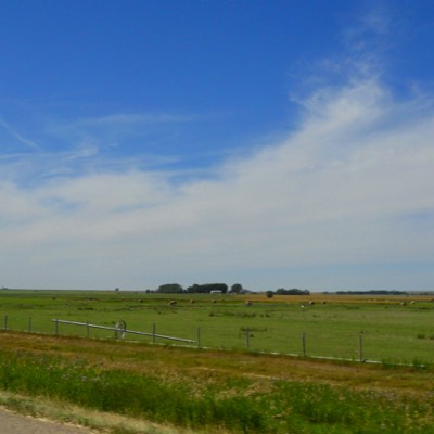 On the prairie, trees can be few and far between.